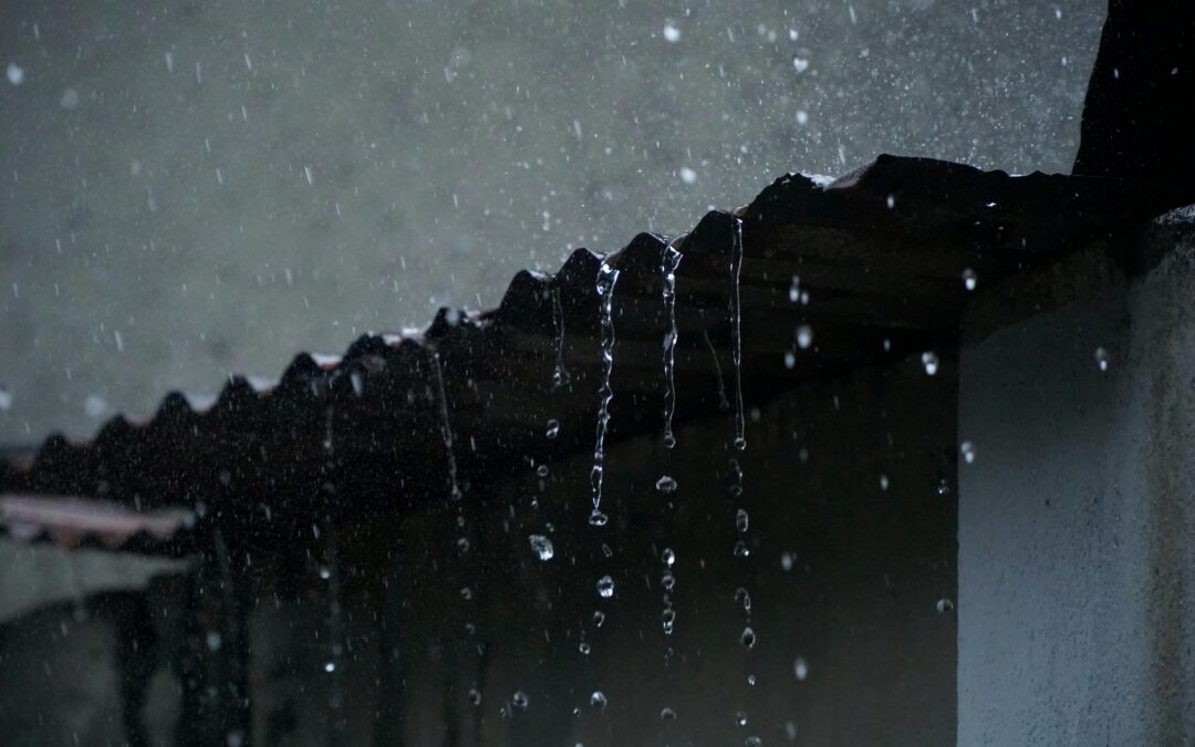 Common Causes of Commercial Roof Leaks