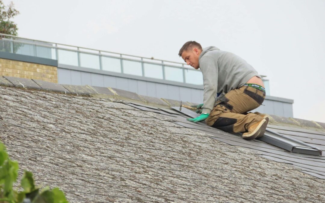 The Cost of Ignoring Commercial Roof Maintenance